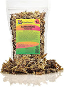 Sphagnum Moss Potting Mix for Carnivorous Plants, Moss and Perlite Blend for Potting Venus Fly Traps, Sarracenia, Pitcher Plants - 75% Sphagnum Moss + 25% Perlite - Made in USA - 1 Quart by GreenHaven Gardens