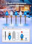 Brightown Strawberry Jumbo C9 Christmas Pathway Lights Outdoor -2 Pack Total 17 Feet 10 LED Jumbo C9 Walkway Lights, Christmas Lights Outdoor Decorations for Lawn Outside Holiday, Blue & Pure White by GreenHaven Gardens