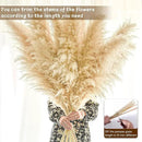 46" inch 11 Stems Natural Pampas Grass Tall Decor,Pompas Grass,Large Beige Tall Pampas Grass for Floor Vase,Wedding Decorations,Party,Boho Home Decor,and Creating a Boho Ambiance by CozyNest Decor