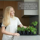 SCANDINORDICA Black Herb Planter – 5 Pots with Drainage Holes and Tray, Windowsill Planter, Herb Pots for Indoor Outdoor Plants | Kitchen & Garden Decor by GreenHaven Gardens