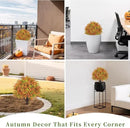 24" Fall Plants Artificial Boxwood Topiary Trees, UV Resistant Faux Bushes with Ground Spike, Fake Shrubs for Outdoor Planters, Front Porch, Patio, Yard Decor Set of 2 by GreenHaven Gardens
