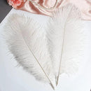 THARAHT 12pcs White Ostrich Feathers Natural Bulk 16-18Inch 40cm-45cm for Wedding Party Centerpieces Easter Gatsby and Home Decorate Ostrich Feathers by CozyNest Decor