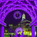 HOME LIGHTING 66ft Halloween Decorative Mini Lights, 200 LED Green Wire Fairy Starry String Lights Plug in, 8 Lighting Modes, for Indoor Outdoor Xmas Tree Wedding Party Decoration (Purple) by TinyTreasures Baby Boutique