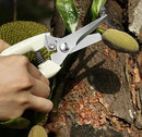 Garden Flower Shears Pruning Shears 6.9 inches Straight and Bypass Scissors Heavy Duty Plant Scissors for Cutting Flowers, Trimming Plants, Bonsai, Fruits Picking (White handle Straight and Bypass) by GreenHaven Gardens