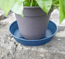 Plant Saucer 14 Inch 4 Pack 6 8 10 12 14 16 18 20 25, Plastic Plant Trays for Pots，Extra-Deep Plant Water Dray Tray, Bird Bath Bowl, Heavy Flower Plant Saucers Indoors and Outdoor No Holes