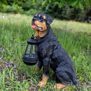 Notakia Resin Dog Rottweiler Statues and Sculptures with Solar Led Home Garden Decoration Windproof Lamp Outdoor Lighting Decor (Rottweiler &LED) by GreenHaven Gardens