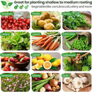 3 Pack 8x4FT Oval Galvanized Raised Garden Bed Outdoor,Metal Garden Bed for Vegetables,Above Ground Garden Box for Flower,Steel Raised Beds for Gardening by GreenHaven Gardens