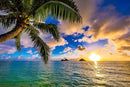 Sunset Seascape Wallpaper Palm Tree Beach Wall Mural for Living Room Bedroom Dining Room Basement(Not Self-Adhesive) by TinyTreasures Baby Boutique