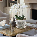Orchid Pot, 8 Inch 4 Pack Orchid Pots with Holes and Saucers, Clear Plastic Orchid Pots by GreenHaven Gardens