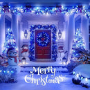 Brightown C9 LED Christmas String Lights, 66ft 100 LED Waterproof Strawberry String Lights, Plug-in Extendable Green Wire Lights String for Outdoor Outside Patio Party Decoration, Blue and White by GreenHaven Gardens