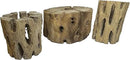 3 Natural Cholla Wood Air Plant Display Holders 2 inch Individually Unique Round Decorative Stands by GreenHaven Gardens