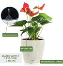 Dexceder 15x14 Self Watering Planter with Wheels Indoor Outdoor, Inner Pot Design, Thickened Large Floor Standing Flower Plant Pot with Water Level Indicator (White Gold Crackle) by GreenHaven Gardens