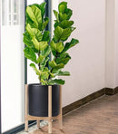 D'vine Dev Ceramic Planter with Natural Stand - 12 Inch Modern Round Flower Pot with Wood Planter Holder, Black, 55-B-J-2 by CozyNest Decor
