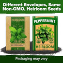 HOME GROWN Peppermint Seeds 2 Pack (Mentha × piperita) – 4,740 Heirloom Mint Seeds for Planting – 𝗡𝗢𝗡-𝗚𝗠𝗢, 𝗨𝗦𝗔-𝗦𝗢𝗨𝗥𝗖𝗘𝗗 – Grow Indoors or Outdoors, Kitchen Herb Garden Favorite by GreenHaven Gardens