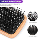 Hair Brush Boar Bristle Hair Brushes for Women Curly Hair, Best Paddle Detangling Brush Detangler for Girls Kids,Smooth Hair Add Shine by CozyNest Decor