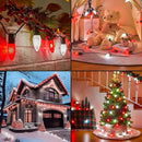 C9 LED Christmas Lights Outdoor with Stakes, 25.7 Feet 20 LED C9 Strawberry String Lights, Connectable Shatterproof Pathway Lights Marker for Path, Lane, Patio, Xmas Holiday Decorations, Red and White by GreenHaven Gardens