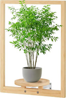 yadoker Wall Planters for Indoor Plants,Bamboo Hanging Plant Holders, Wall Decor Plant Stand, 1-Pack Window Plant Shelves for Living Room & Entryway by GreenHaven Gardens