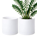 D'vine Dev 2 Pack 10 Inch Modern Plastic Plant Pots, Small Garden Planters for Plant with Drainage Holes and Saucers, White Color, 74-Z-N-1 by GreenHaven Gardens