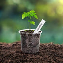 Bonviee Clear Nursery Pots for Plants, 4 Inch Plastic Seedling Pots with Drainage Holes, Planters for Indoor Plants and Small Seed Starters, High Transparency Flower Pots with 20 Plant Labels, 60 Pack by GreenHaven Gardens