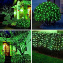 6Ftx4Ft LED Christmas Net Lights Green Wire,Connectable UL Certified Waterptoof Net Lights for Bushes Trees Shurb Garden Outdoor Christmas Decorations by GreenHaven Gardens