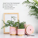 Gepege Pink Indoor Plant Pots for Plants, Ceramic Planter with Drainage Hole, 6.0 inch+5.0 Inch+4.0 Inch. Succulent Orchid Flower Pot - Rainbow Pearl Glaze by GreenHaven Gardens