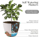 Giraffe Creation Plant Pots Set of 3 (12/10/9 inch), Self-Watering Indoor & Outdoor Flower Planters with Drainage Hole and Reservoir, White by CozyNest Decor