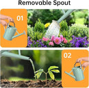 Metal Watering Can for Outdoor Plants, Galvanized Steel Watering Can with Removable spout, 1 Gallon,Perfect Home & Garden Décor Cream Green by GreenHaven Gardens