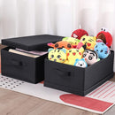 HOONEX Storage Bins with Lids for Organizing, Pack of 2, Storage Boxes with 2 Carrying Handles and Sturdy Heavy Cardboard, 16.5" L x 11.8" W x 7.5" H for Shoes, Books, Clothes, Black by TinyTreasures Baby Boutique