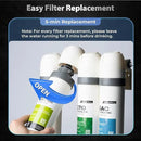 iSpring SGS-Tested PFAS Removal Carbon Block Replacement Water Filter Cartridge FCPFDS for DS4 Series by CozyNest Decor