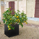 Galvanized Steel Black Planter Box Square 27.6 in Metal Large Planter Box Outdoor Indoor Huge Cube Heavy Duty Flower Pot Modern Commercial Residential for Patio, Deck, Yard, Garden by CozyNest Decor