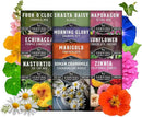 Survival Garden Seeds 10 Flower Collection - Four O’Clock, Chamomile, Shasta Daisy, Purple Coneflower, Marigold, Morning Glory, Nasturtium, Snapdragon, Sunflower, Zinnia - Non-GMO Heirloom Varieties by GreenHaven Gardens