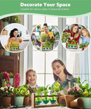 Nacome Plant Terrarium for Office Decor: Birthday Gifts for Plant Lovers Women Mom Wife - Wooden Stand Tabletop Planter 3 Bulb Glass Vase Heart Shaped for Hydroponics Indoor Home(Green) by CozyNest Decor