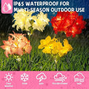 4 Pack Outdoor Solar Garden Decor Lights, Waterproof Solar Powered Hydrangea Lotus Flower Lights Bright Up to 12 Hrs,Led Flowers for Yard Patio Lawn Decorative (Solar Flowers Style 3) by GreenHaven Gardens