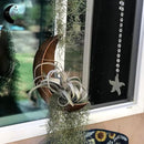 Hanging Moon Planter - Moms Day Gifts for Women - Moon Room Decor - Unique Planters for Succulents,Air Plant, Cactus, Artificial Plants- Plant Lover Gifts - Boho,Hippie, Witchy, Birthdays Gifts by GreenHaven Gardens