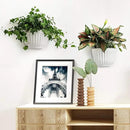 2 Pack Resin Wall Hanging Planter Pots Vertical Garden Living Wall Mount Window Hang Box Container Indoor Outdoor for Plants Flowers Kitchen Herbs Holder with Drainage Water Reservoir Decor White by GreenHaven Gardens