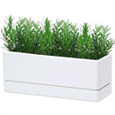 D'vine Dev 12 Inch Window Box Planter, Rectangle Plastic Herb Planter with Drainage Holes and Saucer, Indoor Succulent Cactus Vegetable Pot for Windowsill, Garden Balcony, White, Set of 1, 76-X-A-1 by GreenHaven Gardens