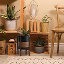 D'vine Dev Ceramic Planter with Walnut Color Stand - 8 Inch Modern Round Flower Pot with Wood Planter Holder, Black/Speckled Tan, 55-B-Y-7 by CozyNest Decor