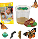 Insect Lore Cup Caterpillars - 5 Live Painted Lady Caterpillars with Food - Includes Figurines - Refill Kit for Butterfly Garden Habitat - STEM Science Activity for Kids and Classrooms by TinyTreasures Baby Boutique