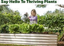Galvanized Raised Garden Beds Outdoor // 8×4×1 ft Planter Raised Beds for Gardening, Vegetables, Flowers // Large Metal Garden Box // Patented Tool-Free Design (White) by GreenHaven Gardens