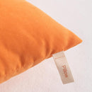 NTBAY Toddler Pillows, Down Alternative 13"x18" Pillows, Machine Washable - Soft and Breathable Travel Small Pillows for Sleeping, Ideal for Daycare, Crib, Cot, Orange by TinyTreasures Baby Boutique