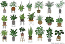 Indoor Plant Food | All-purpose House Plant Fertilizer | Liquid Common Houseplant Fertilizers for Potted Planting Soil | by Aquatic Arts by GreenHaven Gardens
