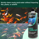 Pond Clarifier - Fish-Friendly Koi Pond Water Clarifier to Quickly Clear Murky Pond Water and Remove Pond Sludge with Natural Enzymes - Fish Pond Water Treatment - AquaDoc Pond Supplies by GreenHaven Gardens