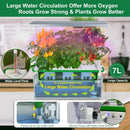 Large Hydroponics Growing System kit with Trellis,Smart Indoor Hydroponic Gardening System with LED Grow Light, Indoor Hydroponic Grow Kit for Tomato,Pepper,Cucumbers(7L,Pump) by GreenHaven Gardens