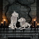 DR.DUDU 2 Pack Halloween Skeleton Wolf Decorations, Life Size Animals Skeletons Poseable Halloween Decor Plastic Bones with Hair Wolf Skull Figurines for Table Yard Lawn Party Props Décor by CozyNest Decor