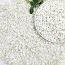 10lbs White Pebbles for Landscaping, 3/8inch Small Rocks for Succulent Cactus Planters, Natural Polished Pebbles, River Rocks for Plants, Vases, Garden by GreenHaven Gardens