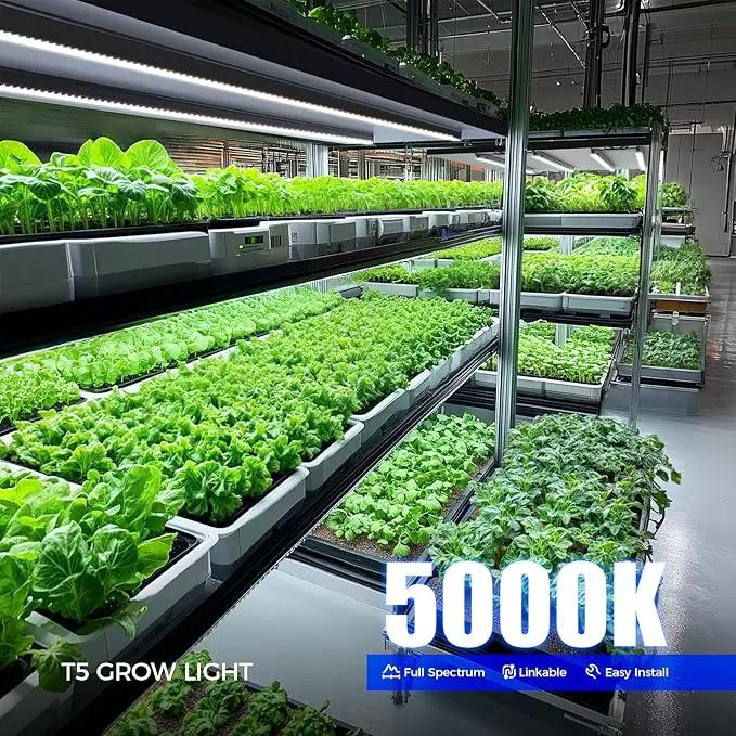 Barrina T5 Plant Lights for Indoor Growing, 4FT 160W (8 X 20W) Led Grow Light with Magnetic Design, Full Spectrum Grow Light Strip with Black Cover, Plug and Play, 5000K, 8 Packs, photo 2 of 9