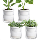 D'vine Dev 4 Inch Design Self Watering Planter for Indoor Plants, White Terracotta Pots with Cylinder Glass Cup, Set of 4, 37-Z-A-2-F by GreenHaven Gardens