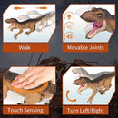 Remote Control Dinosaur Toys for Boys 3 4-7 8-12- RC Realistic Big T-Rex Gifts for Kids, Interactive Dino with Light Roar Spray Touch Sensing by TinyTreasures Baby Boutique