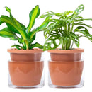 D'vine Dev 6 Inch Design Self Watering Pot for Indoor Plants, Terracotta Planter with Cylinder Glass Cup, Set of 2, 37-Y-B-1 by GreenHaven Gardens