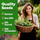 HOME GROWN 15 Herb Seeds for Planting 4,500+ Non-GMO Heirloom Seeds | Extra Large Variety Pack Herb Kit – Indoor Outdoor & Hydroponic | Culinary Seed Set | Grow Your Own Herbs | Gardening Gift by GreenHaven Gardens